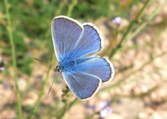 mattinata sul Subasio